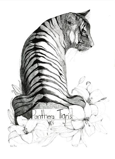 Panthera Tigris thumb