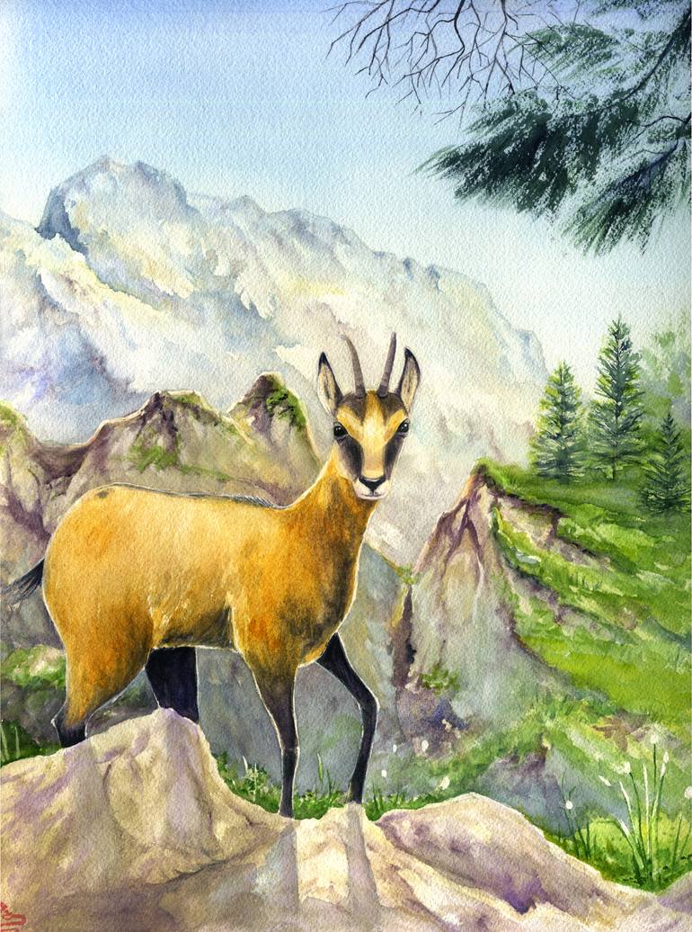 Original Animal Painting by Iryna Kozhyna | Illustration Art on Paper | Summer Gams - Guardian of the Tyrolean Peaks