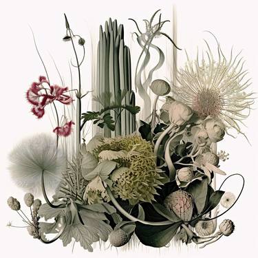 Original Illustration Botanic Digital by Frédéric Jacquet