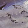 Detail of geese in flight