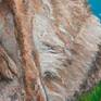 Detail of fur
