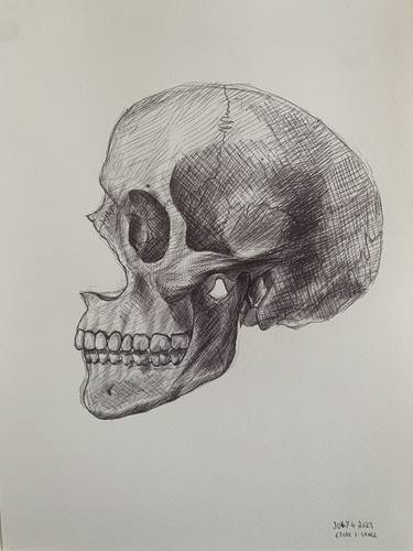 Print of Illustration Mortality Drawings by Maylene Wang