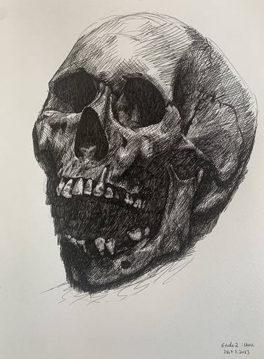 Original Mortality Drawings by Maylene Wang