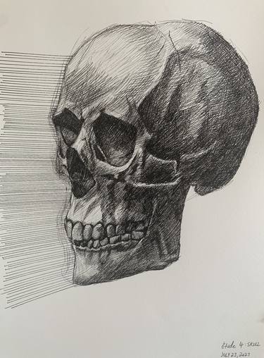 Original Mortality Drawings by Maylene Wang