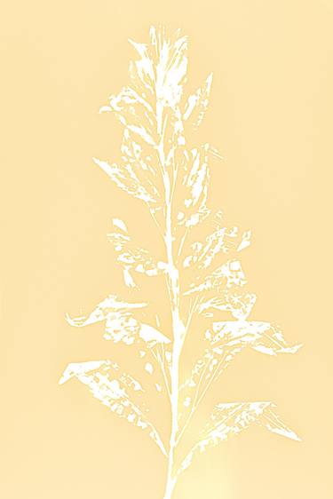 #3 from "Botanical Prints" series thumb