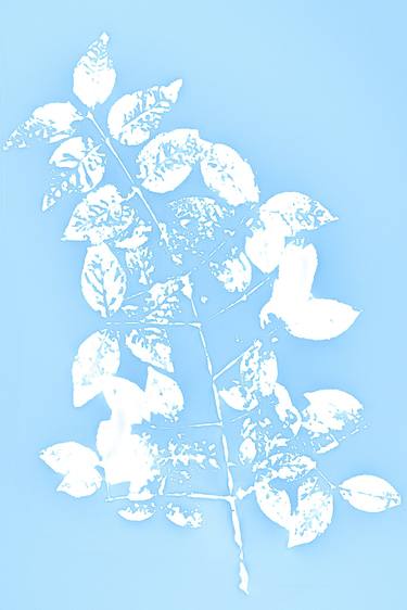 #7 from "Botanical Prints" series thumb