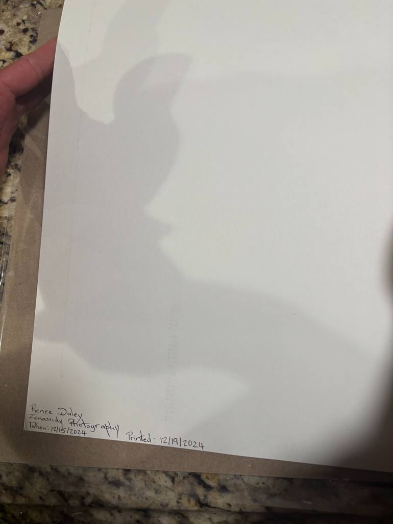 Original Portraiture People Photography by Renee Daley