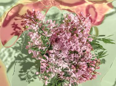 Original Contemporary Floral Photography by Halyna Vitiuk