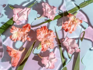 Original Pop Art Floral Photography by Halyna Vitiuk