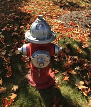 Fire hydrant in the fall thumb