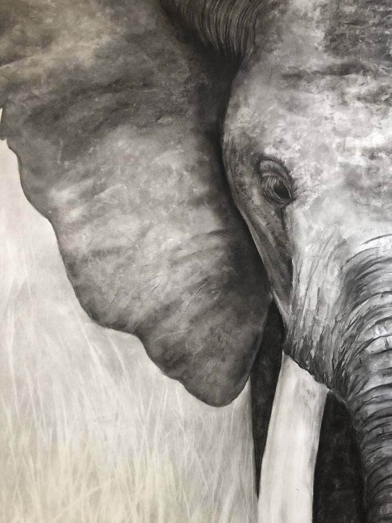 Original Photorealism Animal Drawing by Tanya Schulz