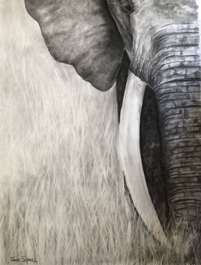 Original Photorealism Animal Drawing by Tanya Schulz