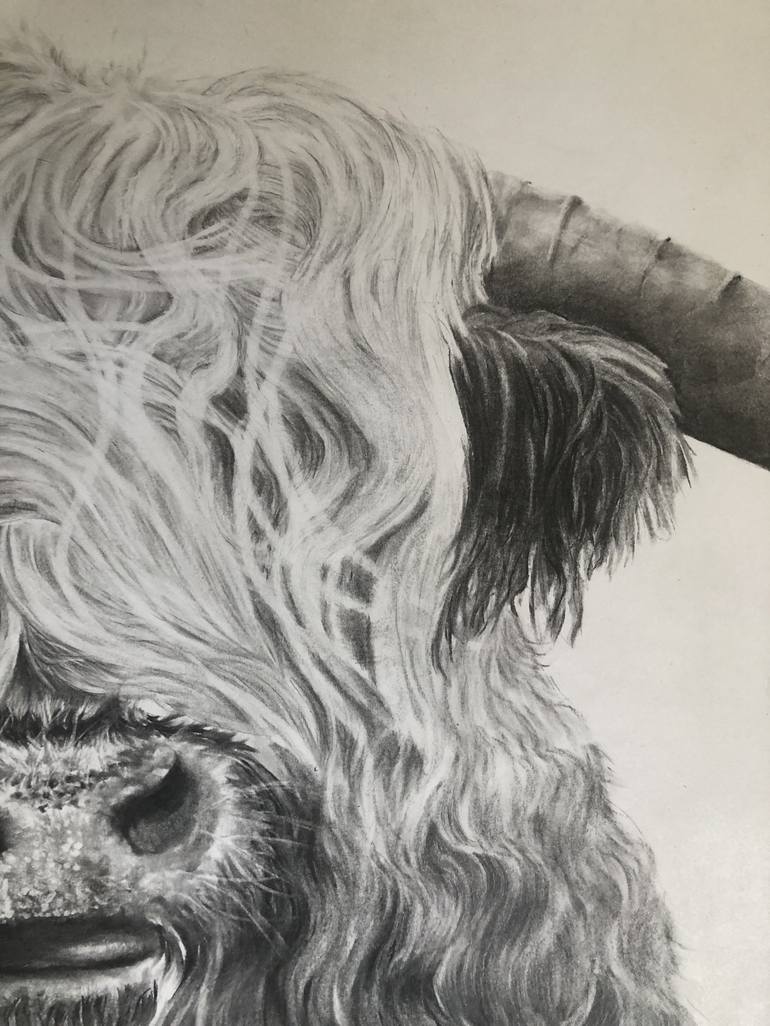 Original Animal Drawing by Tanya Schulz