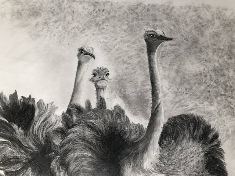 Original Realism Animal Drawing by Tanya Schulz