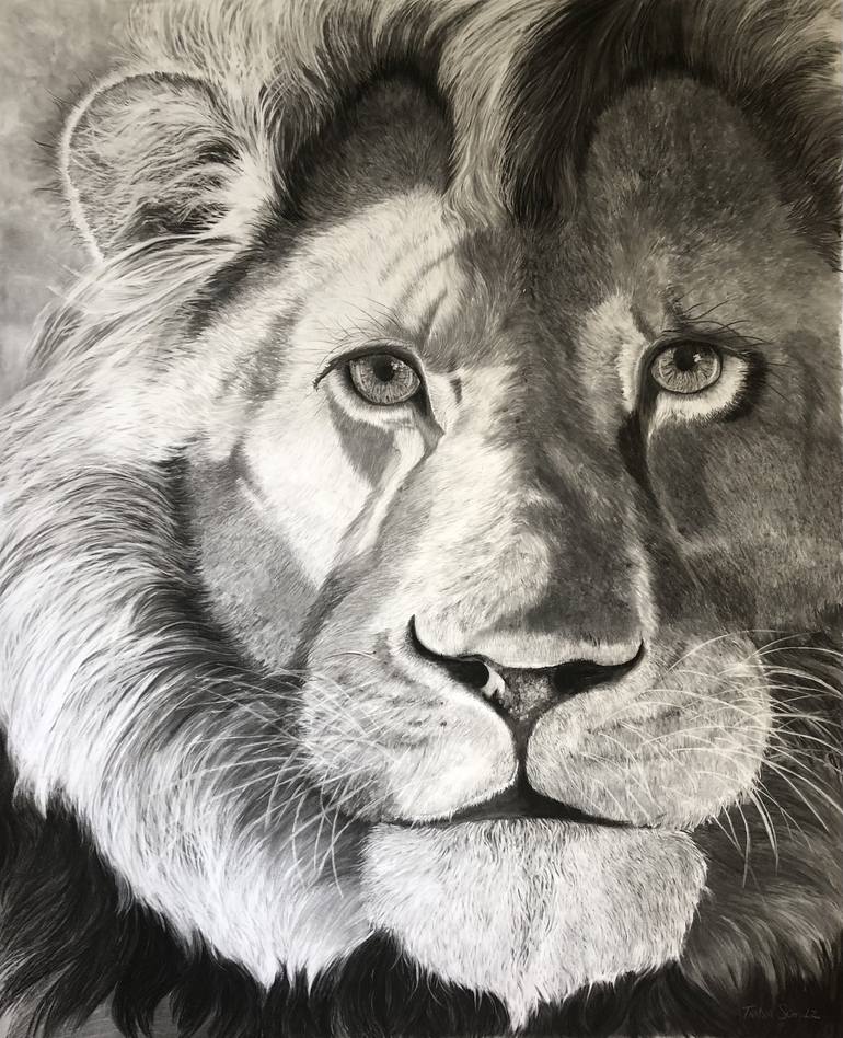 Original Black & White Animal Drawings by Tanya Van Der Walt