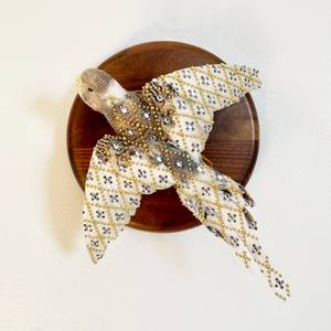 Collection Debuting in Chicago