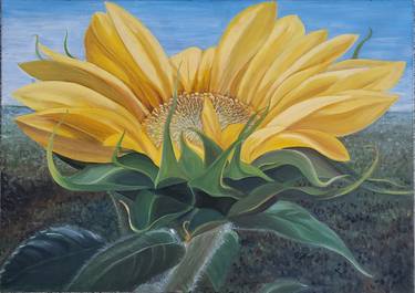 "Sunflower" thumb