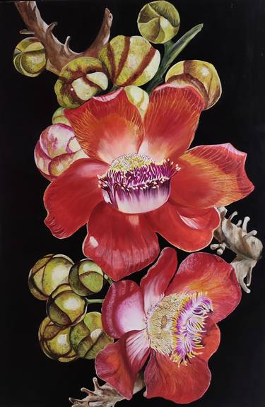 Original Photorealism Botanic Paintings by Sumana Burman