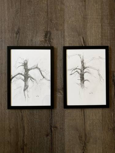 Original Graphics And Animation Botanic Drawing by Sevil Alieva