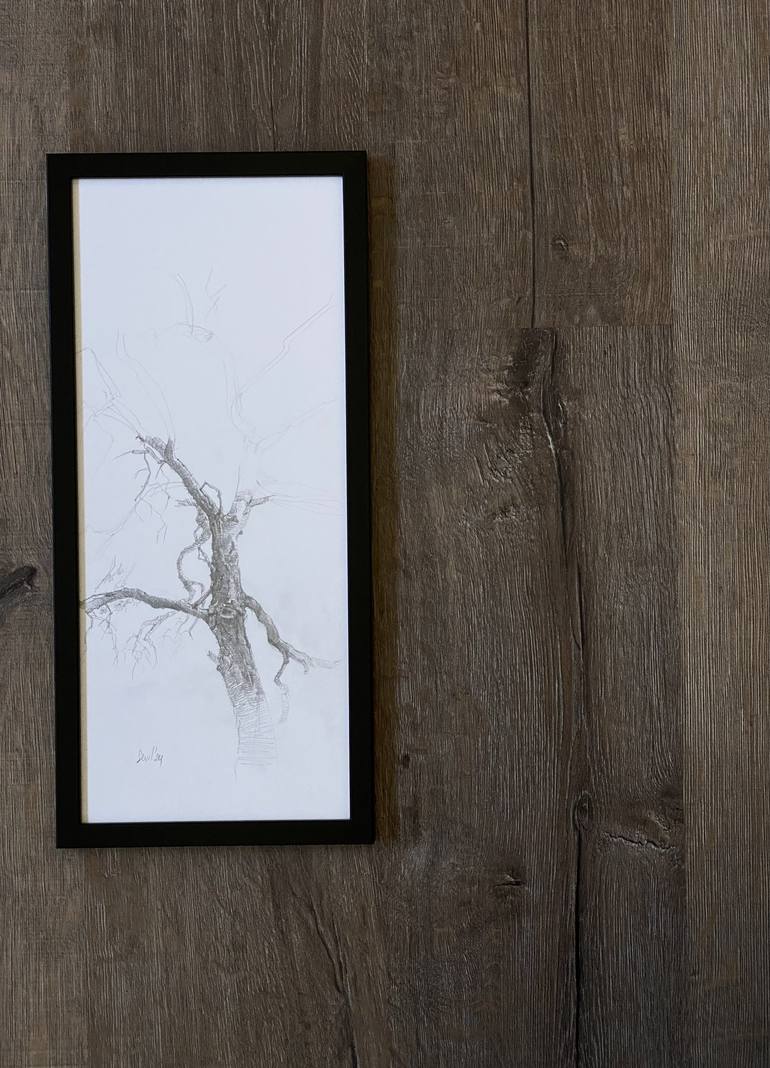 Original Black & White Botanic Drawing by Sevil Alieva