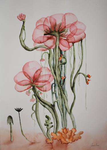 Original Illustration Botanic Paintings by Jessie Ross
