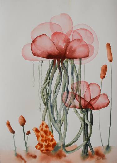 Original Illustration Botanic Paintings by Jessie Ross