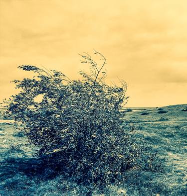 Print of Documentary Nature Photography by Fawwad Aslam