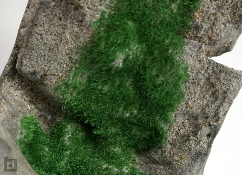 Original Figurative Portrait Sculpture by Paolo Castagna