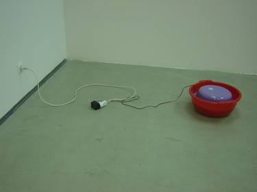 Original Dada Love Installation by Ana Krstic