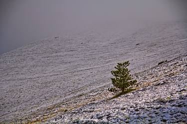 Original Minimalism Nature Photography by Luca Sacchini