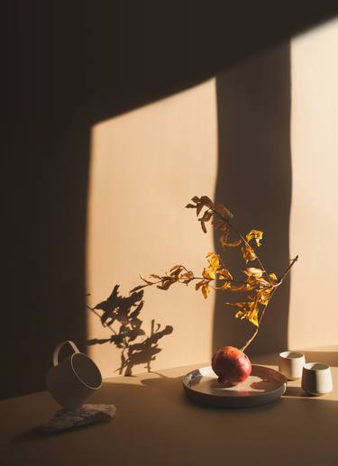 Original Conceptual Still Life Photography by Erica Ferraroni