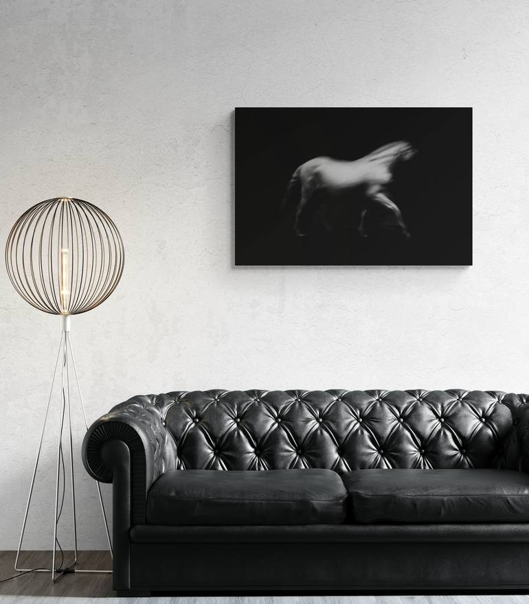 Original Black & White Animal Digital by Anna Archinger