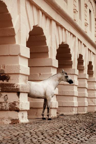 Original Art Deco Animal Photography by Anna Archinger