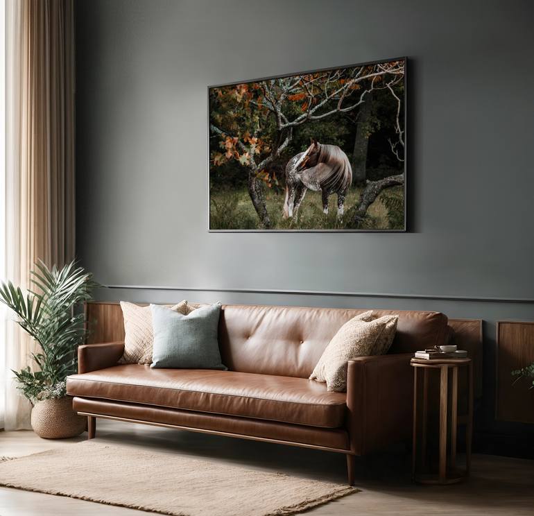 Original Art Deco Animal Photography by Anna Archinger