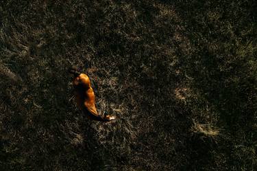 Original Romanticism Animal Photography by Anna Archinger