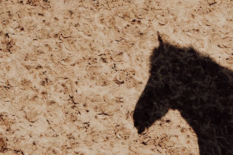 Original Romanticism Horse Photography by Anna Archinger