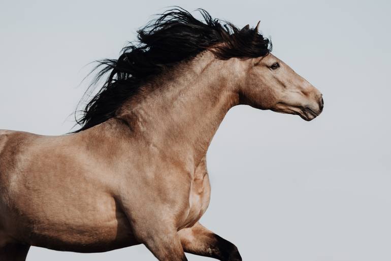 Leading Line Photography by Anna Archinger | Saatchi Art