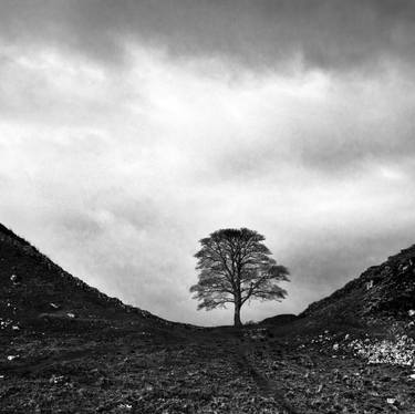 Original Photorealism Landscape Photography by Peter Watson