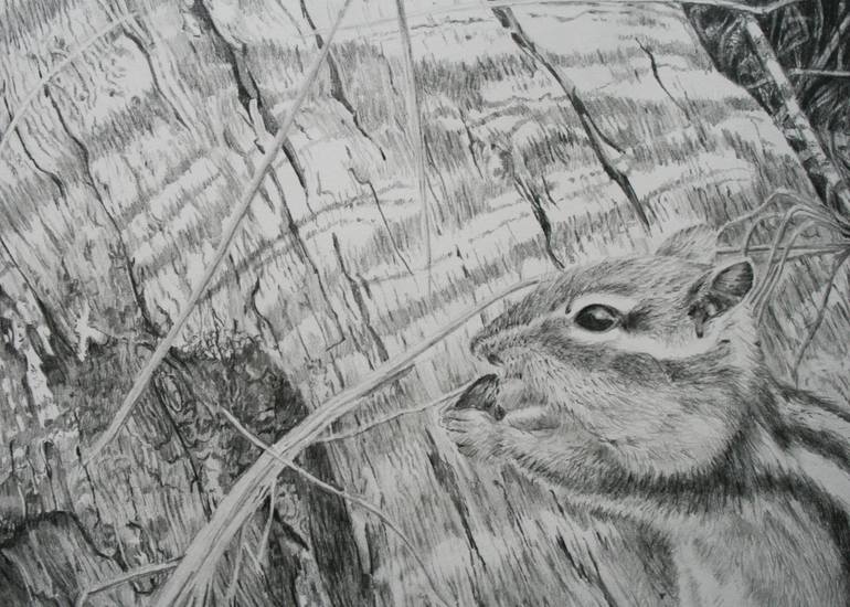 Original Realism Nature Drawing by Yuriy Somov