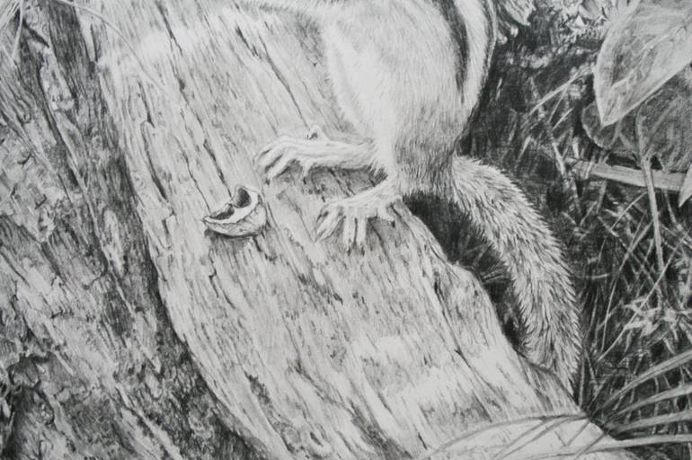 Original Realism Nature Drawing by Yuriy Somov