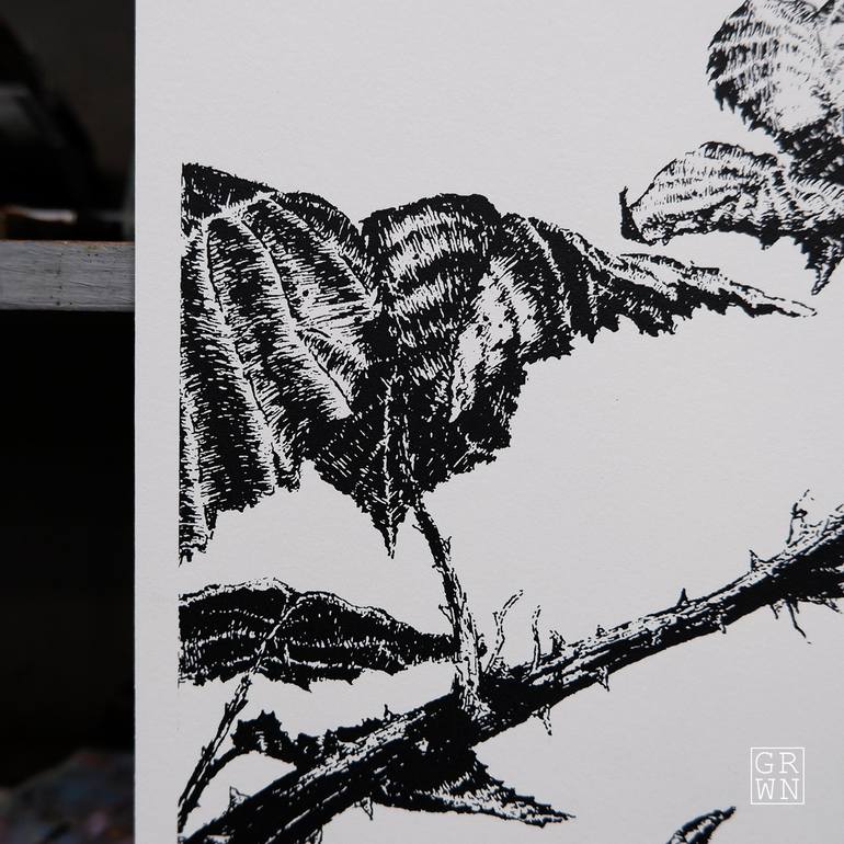 Original Botanic Printmaking by Gil Potter