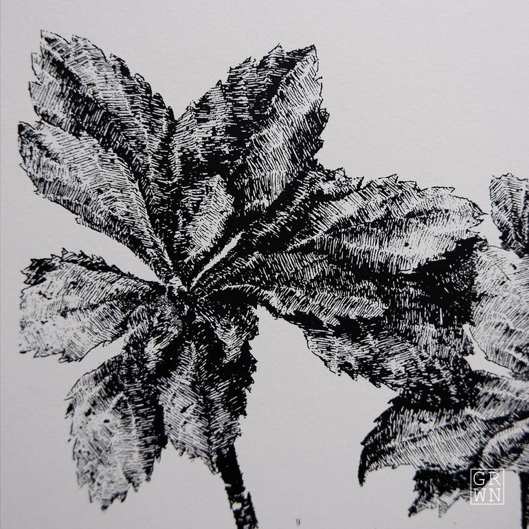 Original Botanic Printmaking by Gil Potter