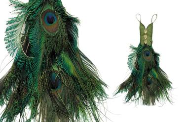 Peacock Dress thumb
