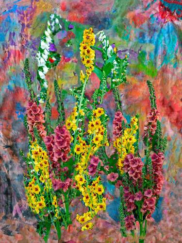 Yellow Verbascum on Abstract thumb
