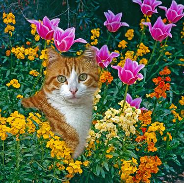 Cat in my Flower Garden 7 thumb
