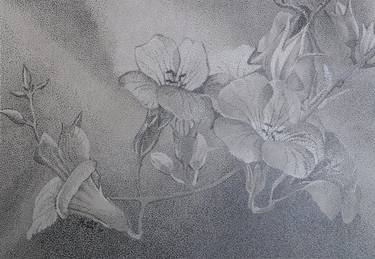 Original Impressionism Botanic Drawings by andre rollet
