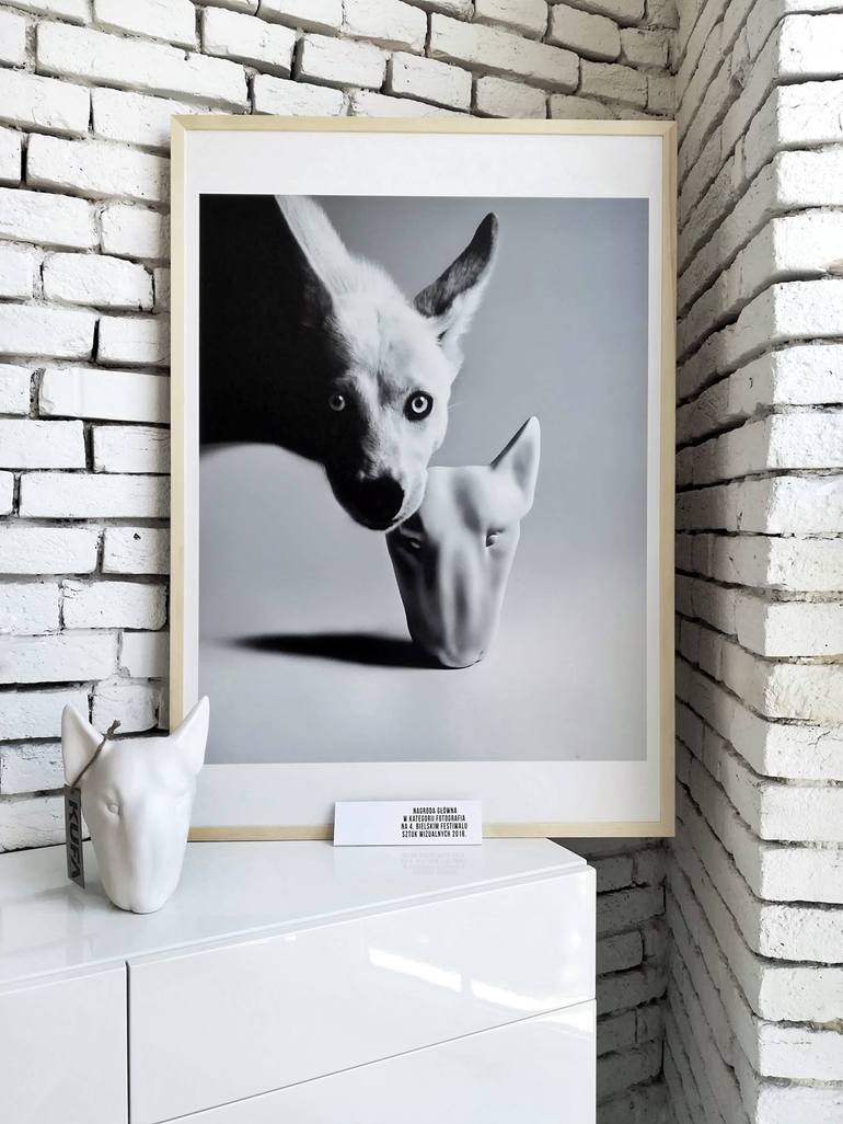 Original Black & White Animal Photography by Małgorzata Fober