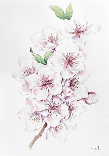 Original Realism Floral Paintings by Irina Diasli