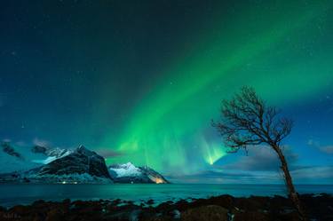 Midnight Magic: Aurora Over the Norwegian Sea thumb