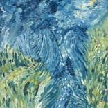 Diluvio (Flood) by Alexis Goes-Delgado